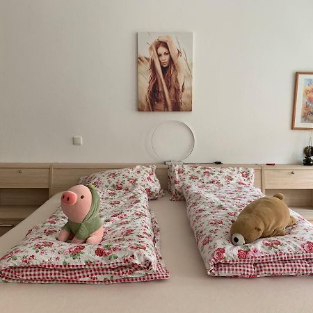 Ferienwohnung Аннаберг-Бухгольц Екстер'єр фото