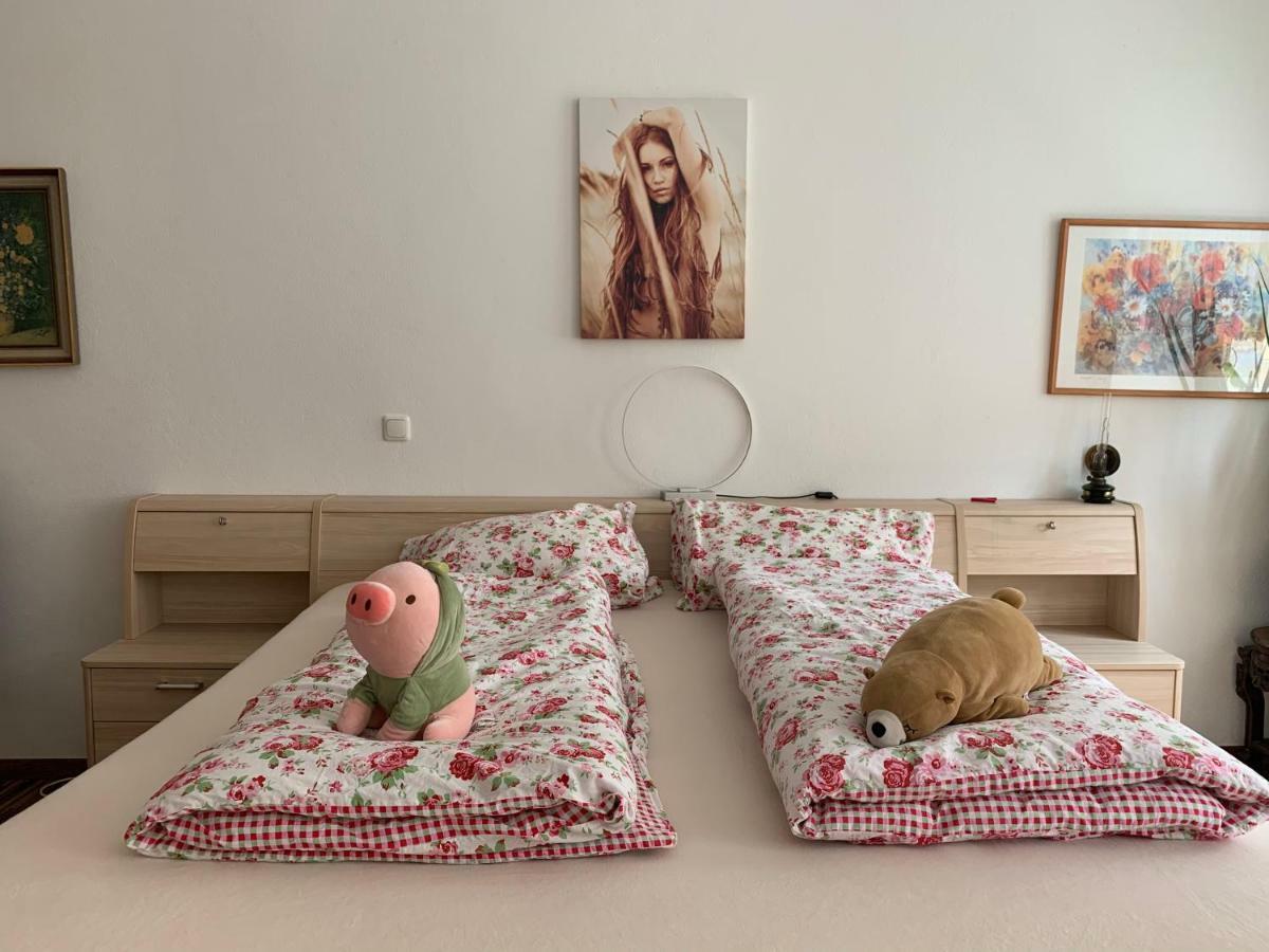 Ferienwohnung Аннаберг-Бухгольц Екстер'єр фото